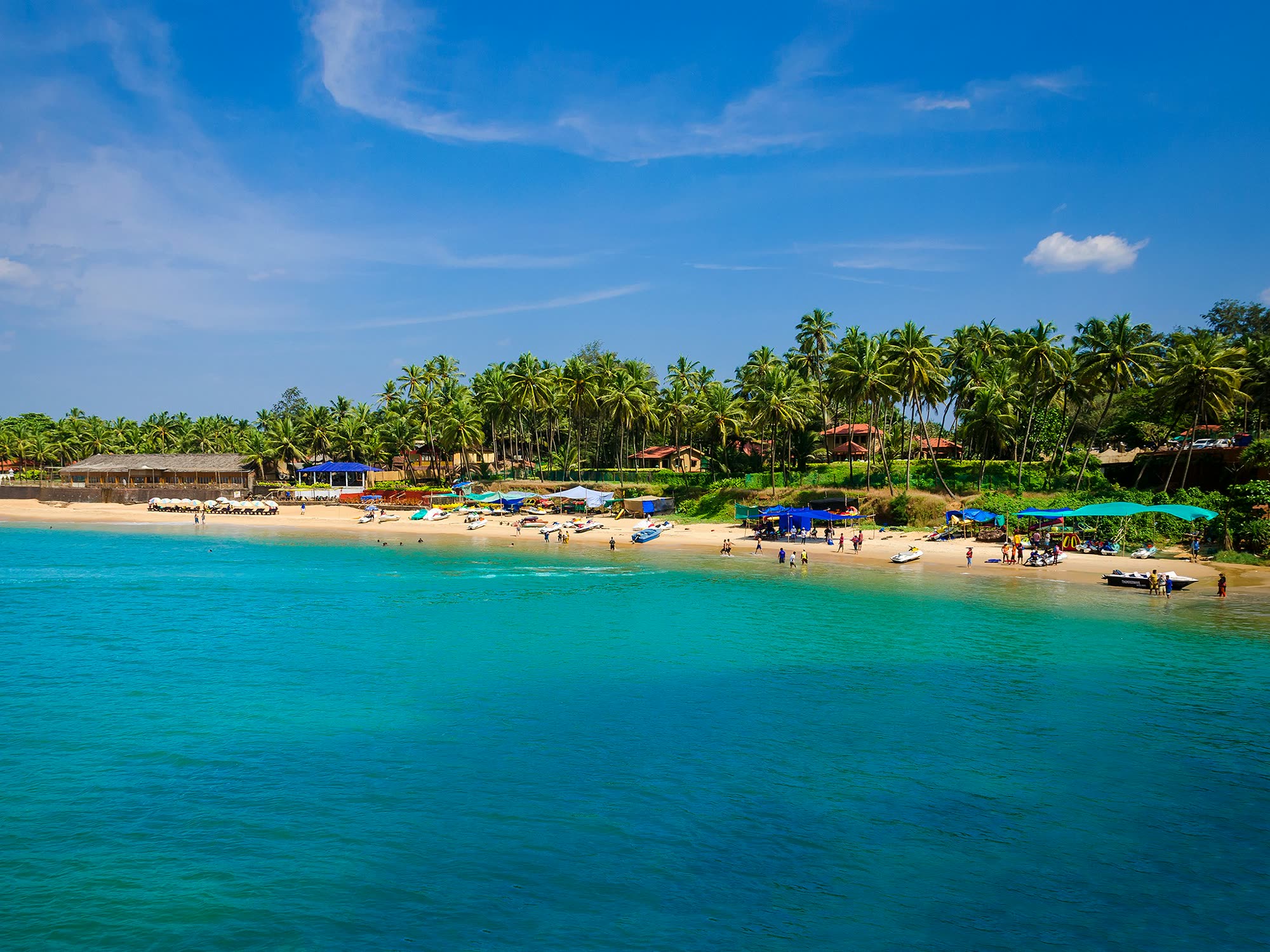Turkis bugt og palmekantet strand i Goa