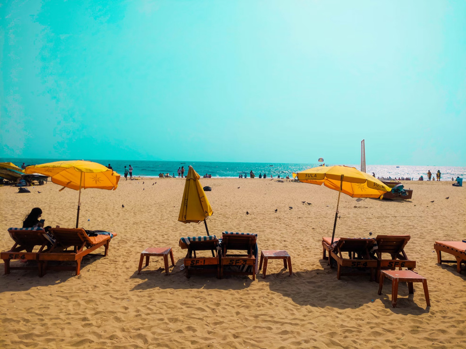 Parasoller og liggestole på stranden i Goa
